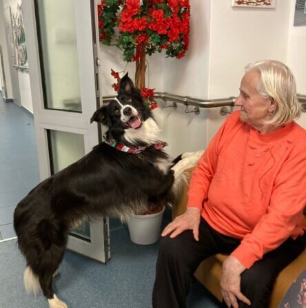 84fa6d74-11a4-4b19-bd7d-96dded7fc317