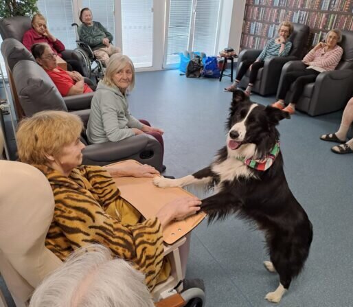 9d3d6e70-f479-4103-b220-d5dd160d8780