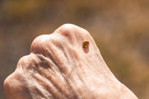 PHOTO-2024-04-04-12-29-05 2