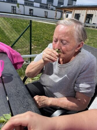 cf2668e8-ec18-44bd-a237-513a948c1183