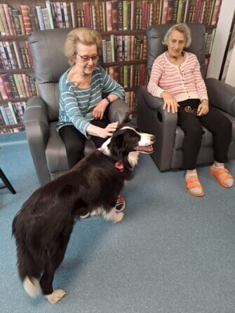 d3edf306-6c90-4c6e-9873-050d5a2df2cf