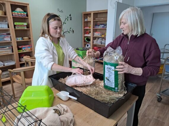 e1486a2c-01f3-45fe-8b50-01b74edb0b84