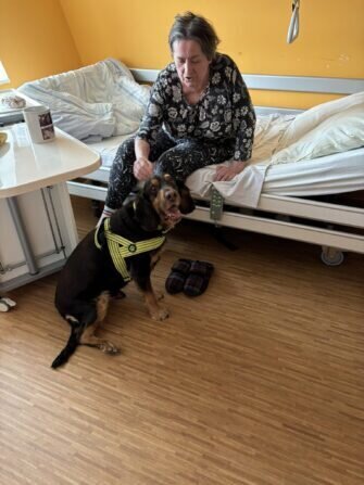 received_7272635906187495