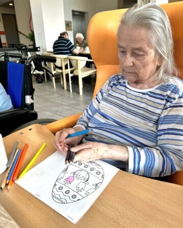 439121060_416148481128146_6986534891802561664_n