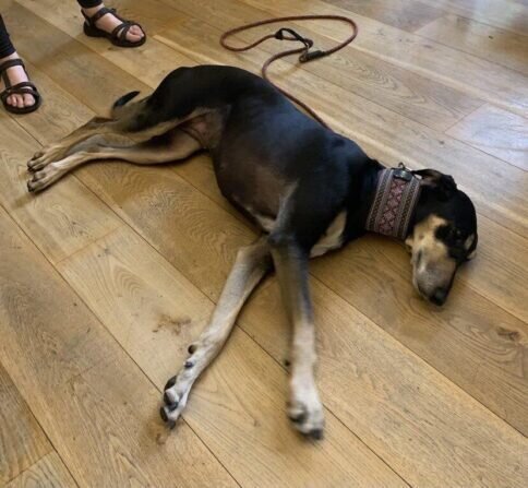 439613967_1799248893903604_1803274610839125486_n