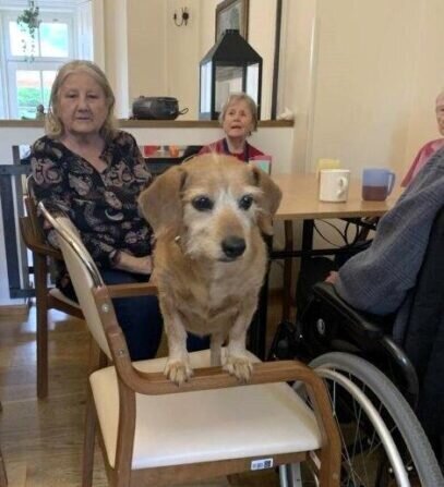 440167058_964582145252314_7128880796193147534_n