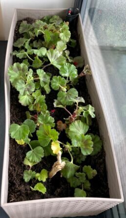 440430264_422297093846618_2241650830751582790_n