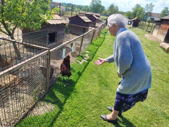 IMG-20240502-WA0007(1)