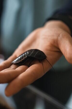 PHOTO-2024-05-21-18-13-09 2