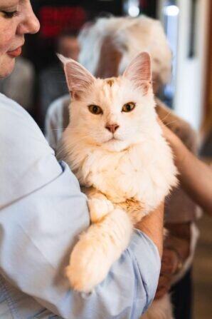 PHOTO-2024-05-21-18-13-11