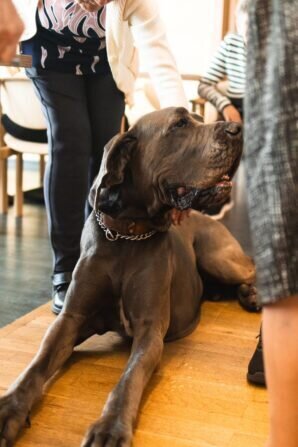 PHOTO-2024-05-21-18-13-14