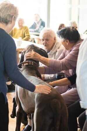 PHOTO-2024-05-21-18-13-16