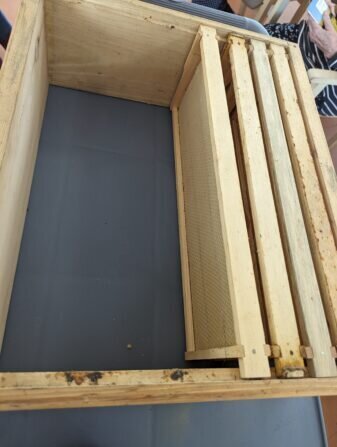 PXL_20240520_080104291