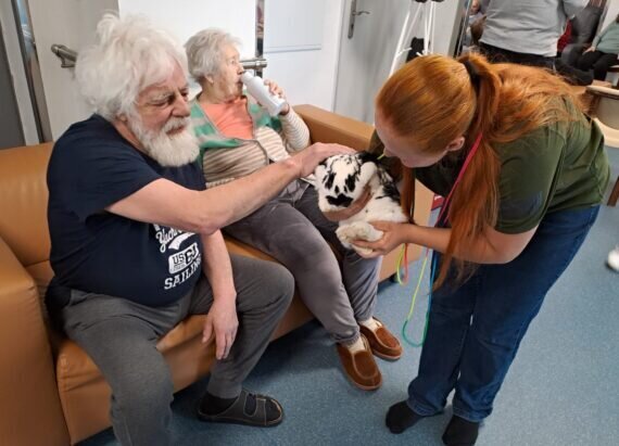 cc080e8d-cdf7-4403-8012-cfaca6e7f5bf