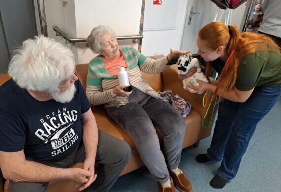 d1d3796d-4cee-4e0d-8e5b-54d184e46e79