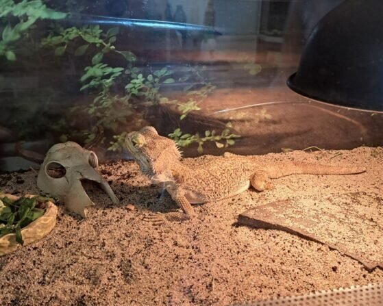 4198a6c2-d4d9-41e6-8495-8595cfe681f8