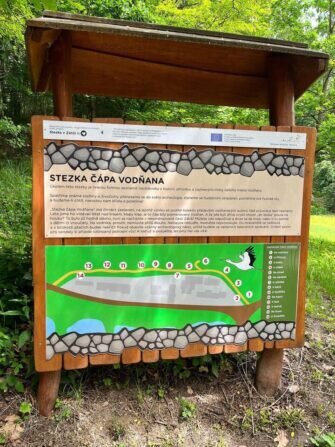 441264990_1190947961843069_4619049191011611601_n