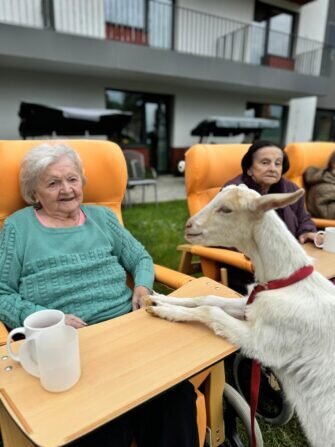 445089036_435269192549408_4232270353382728266_n