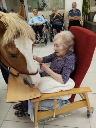 445166041_860215086145527_7904698146809197848_n