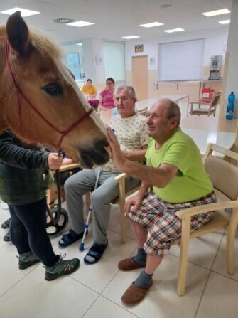 445209245_860213802812322_1953553811555921662_n