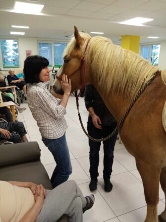 445735266_860215522812150_6790642454687066289_n