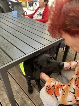 448553126_1682019375944019_2524428323685929507_n