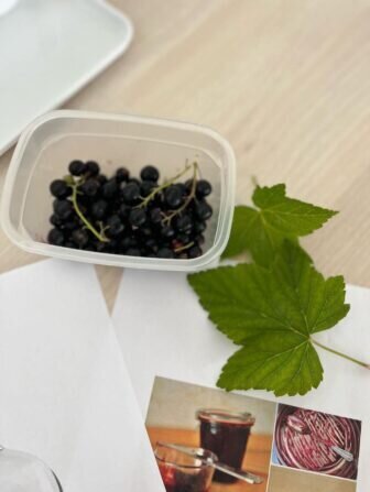 448749772_981978146799491_3023964536104619804_n