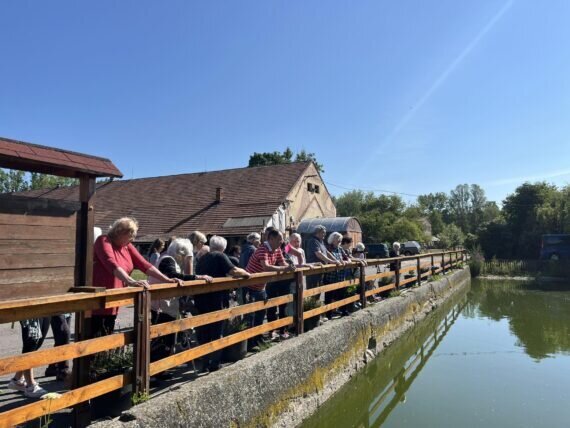 448806108_2895918857228809_625626161813437620_n