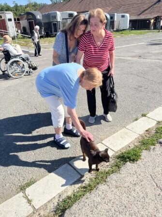 448832281_810459097713531_609977158922241711_n