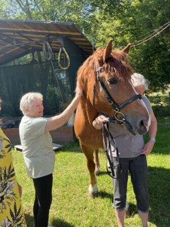 448868216_853392636820482_3746186710180251735_n