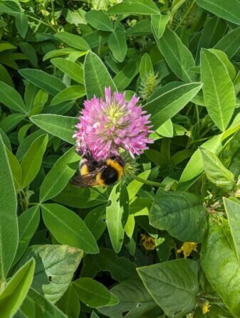 PXL_20240530_080637472