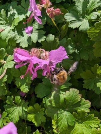 PXL_20240530_080706286