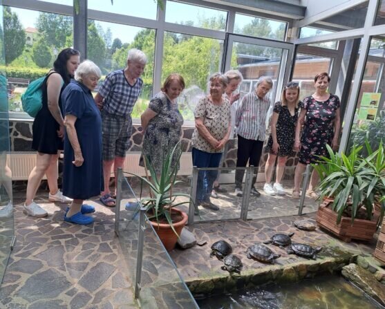 c288e980-de7e-4750-bbd5-dd7d3cd7e6a9