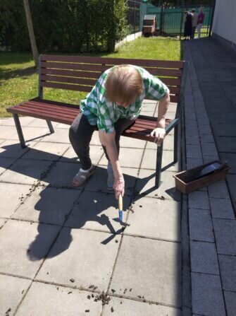 pleti plevele z dlažby (3)