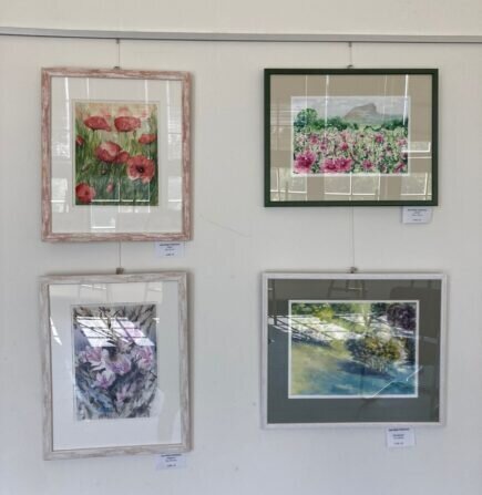 0286717f-ecdd-4fde-8aca-2e588b2d78bb