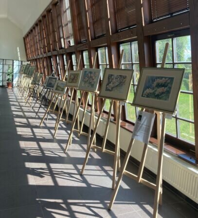 068c5b75-faea-45e4-8e99-eb8b9754b782