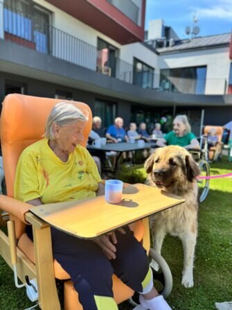 453263197_474678648608462_604650423515063595_n