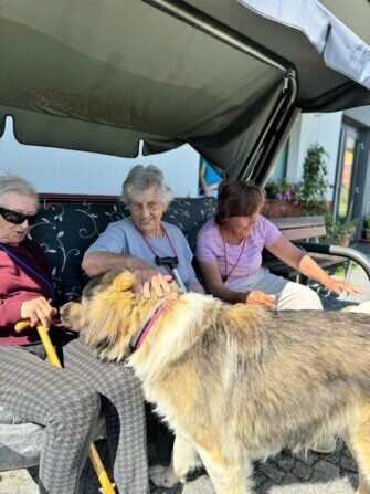 453315403_474677101941950_4396819289564521898_n