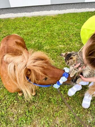 454513599_434719172903559_2442271046480743857_n