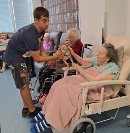 619f558b-c817-47fd-95db-910183701420