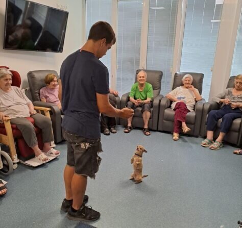 80487bdf-96fa-4f7a-b6b5-4c853ecdb617