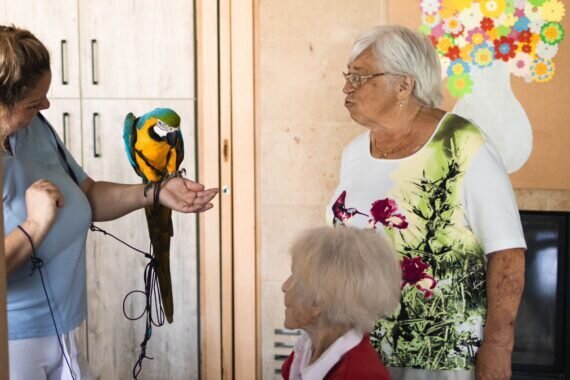 PHOTO-2024-08-19-06-32-17 2