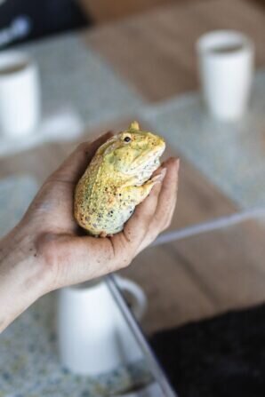 PHOTO-2024-08-19-06-32-18 2