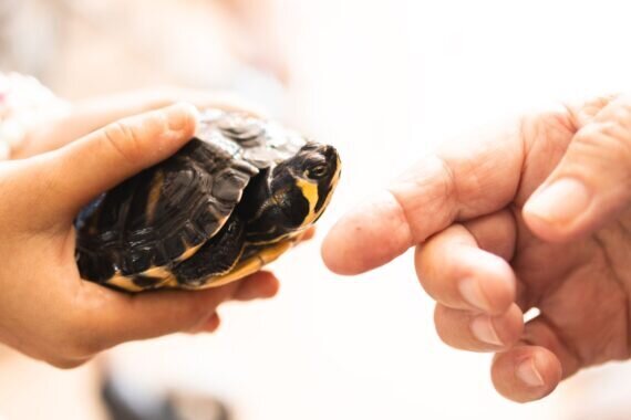 PHOTO-2024-08-19-06-32-20 2