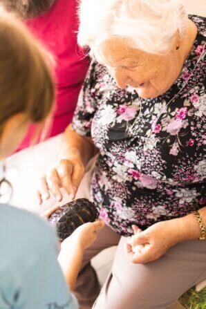 PHOTO-2024-08-19-06-32-21