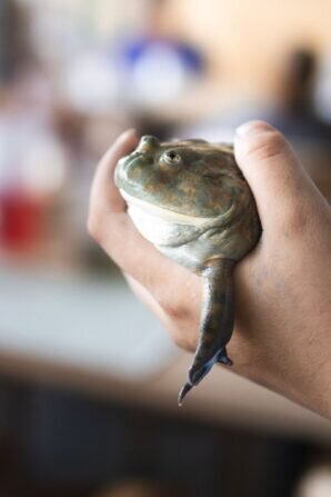 PHOTO-2024-08-19-06-32-25 2