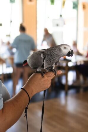 PHOTO-2024-08-19-06-32-25