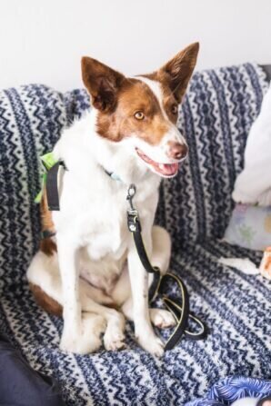 PHOTO-2024-08-21-18-28-52