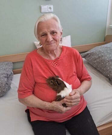 178bf88f-b2b8-4ac5-83f2-6134f767d801