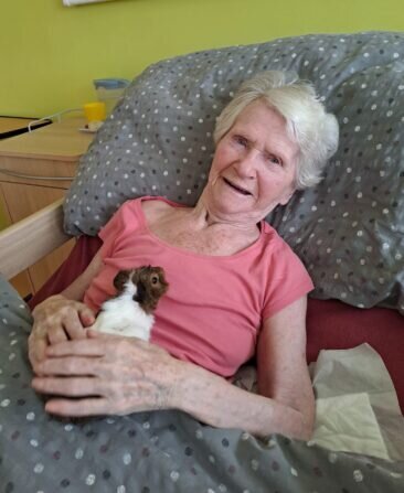 588e4d91-8ca5-487b-a23e-b6297ea6791d